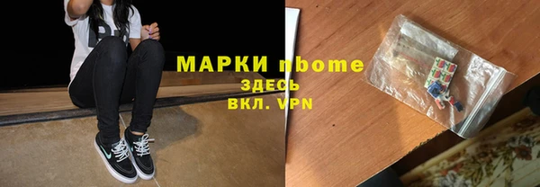 дживик Туринск