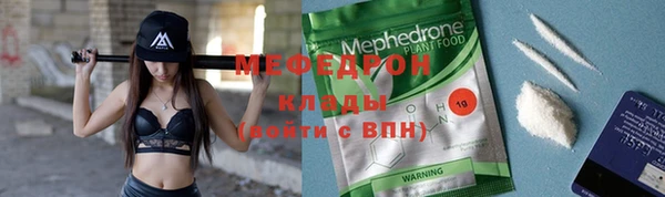 дживик Туринск