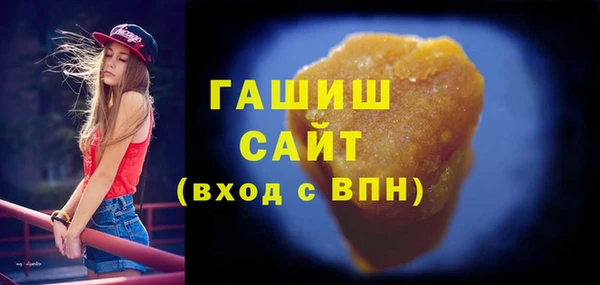 дживик Туринск