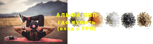 дживик Туринск